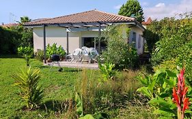 Maison Bassin d'Arcachon